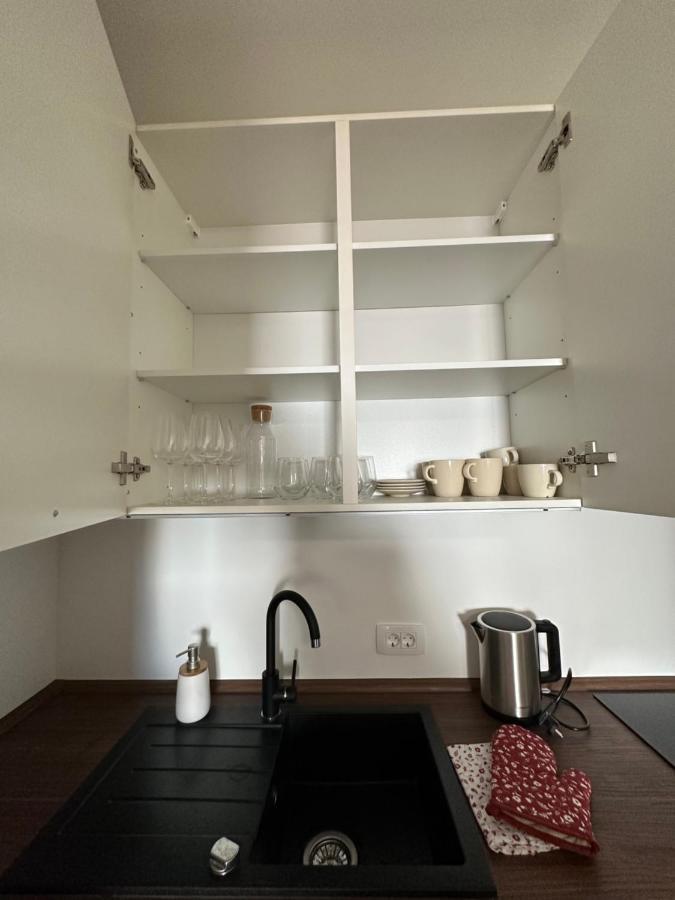 Granny'S Vintage Chic Apartment Maribor Ngoại thất bức ảnh